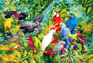 parrots' species